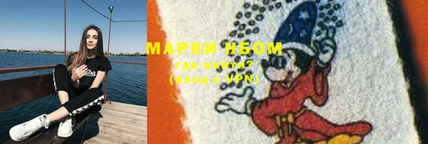 ешки Аркадак
