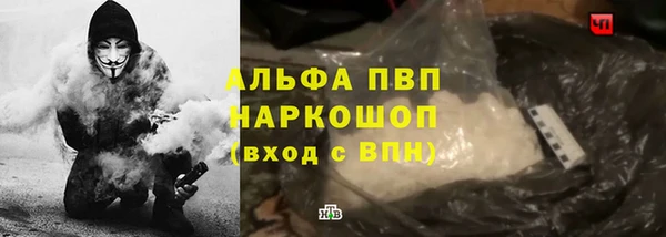 ешки Аркадак