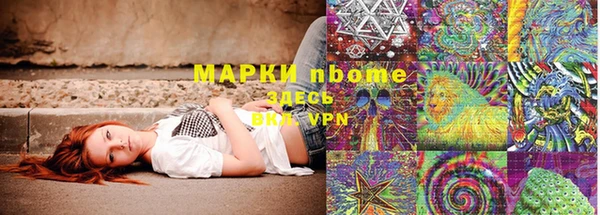 ешки Аркадак