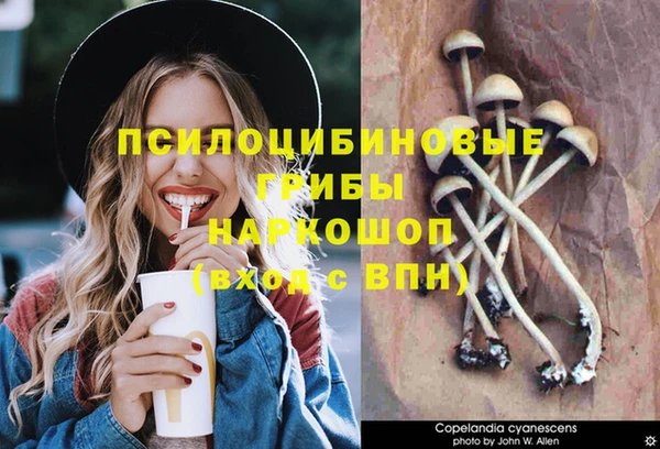 ешки Аркадак