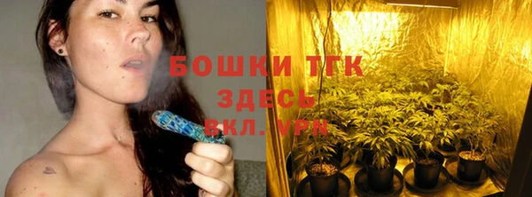 ешки Аркадак